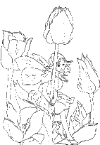 coloriage lutin des tulipes